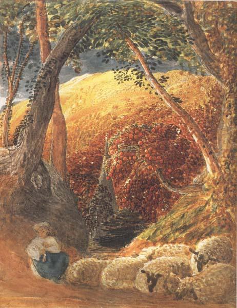 Samuel Palmer The Magic Apple Tree China oil painting art